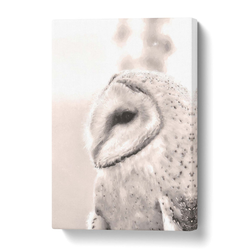 Watchful Barn Owl Bird - Wrapped Canvas, 90 cm H x 60 cm W