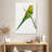 Brampt Perched Budgerigar-108472888