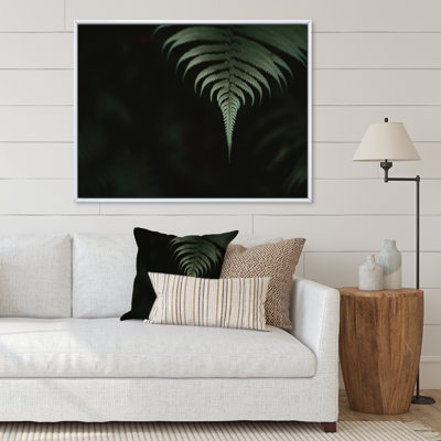 Fougères vertes foncées dans la forêt II - photographie sur toile