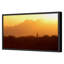 Saguaro National Park, Arizona Print by PhotoDF-660625290