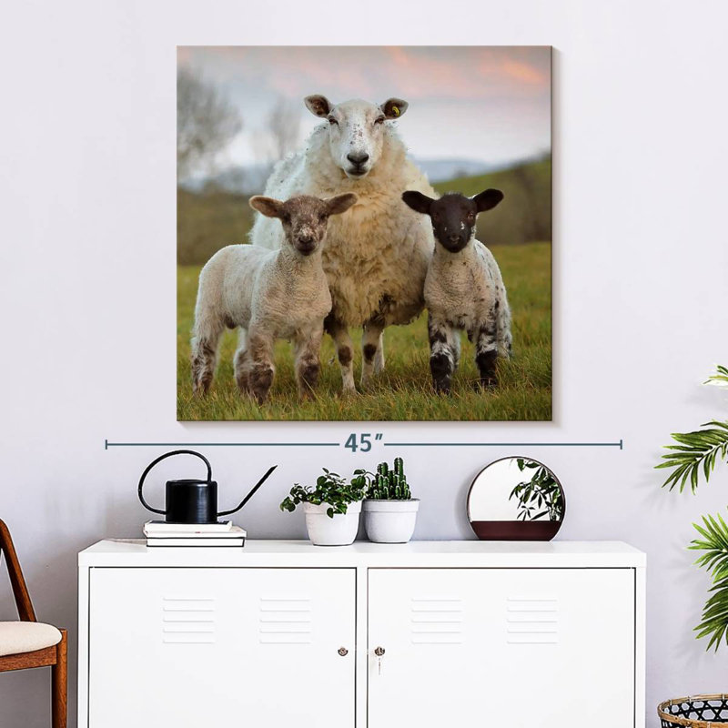 Brampt Markethill Sheep, 33" H x 33" W