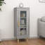 Leiba 1 -Door Accent Cabinet-1232440217