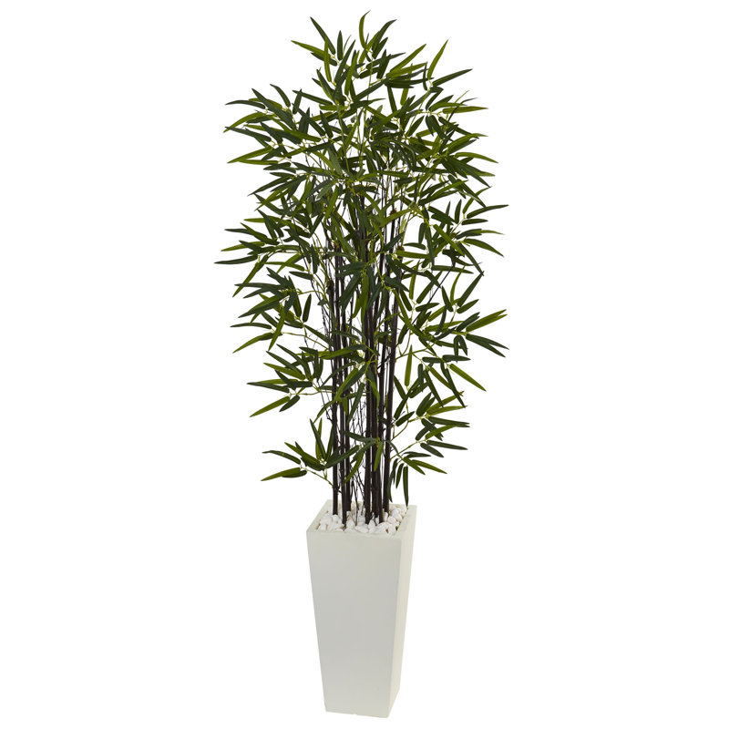 Bamboo Tree in White Tower Planter