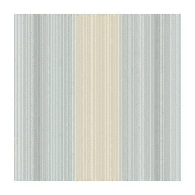 Rouleau de papier peint L 33 pi x l 21 po