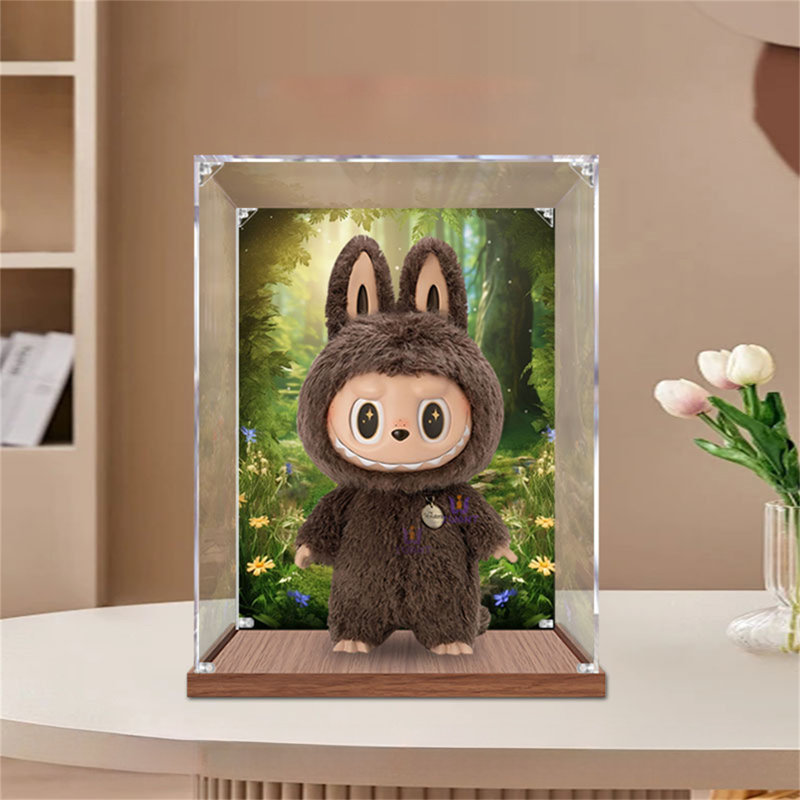 Acrylic Display Box