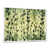 Cadre flottant blanc