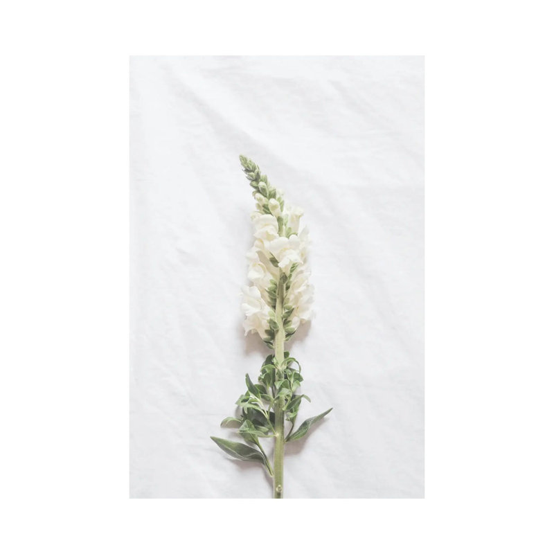 Feel Good by Ruby And B - Gallery-Wrapped Canvas Giclée on Canvas, Wrapped Canvas, 20.32 cm H x 30.48 cm W