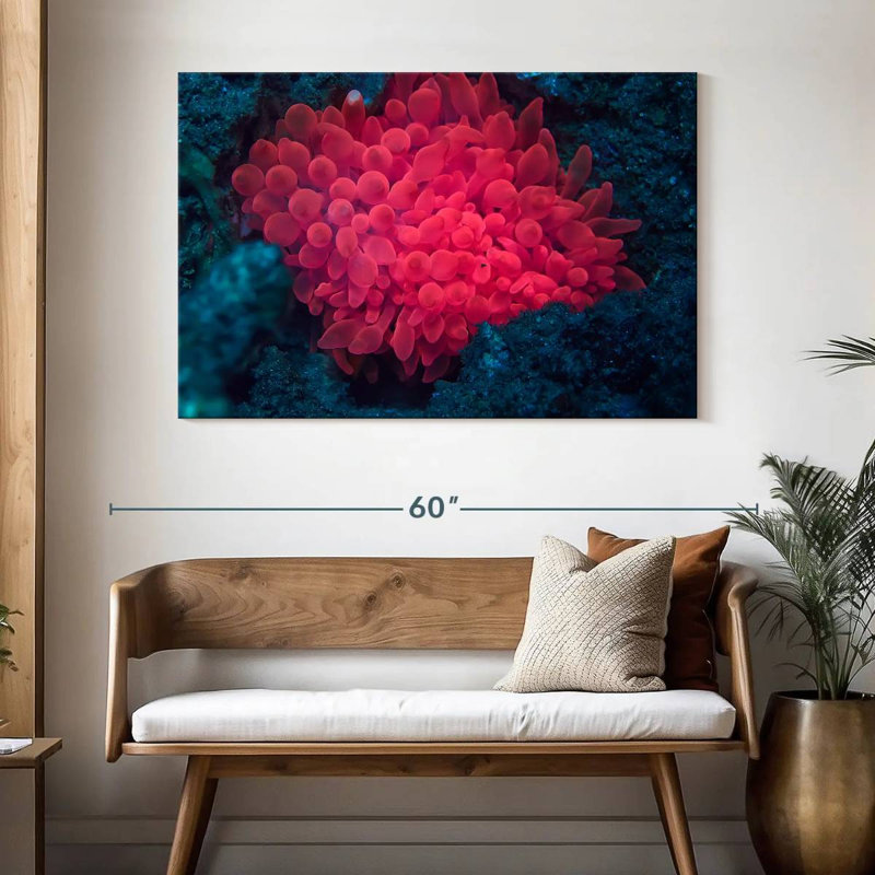 Rose corail, H 32 po x l 48 po