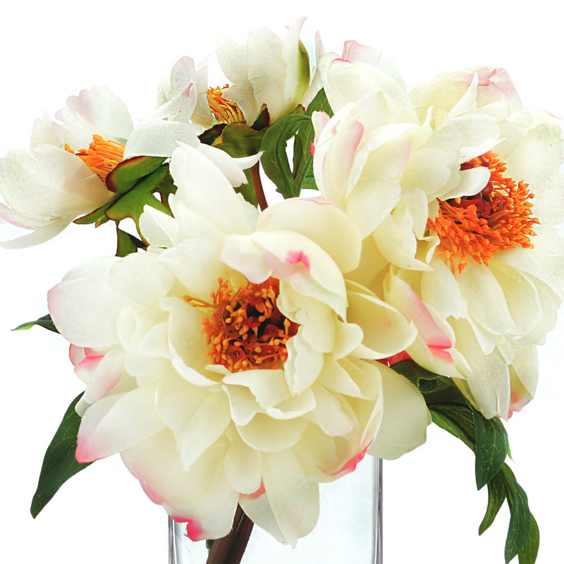 Tipped Peony Floral Arrangement