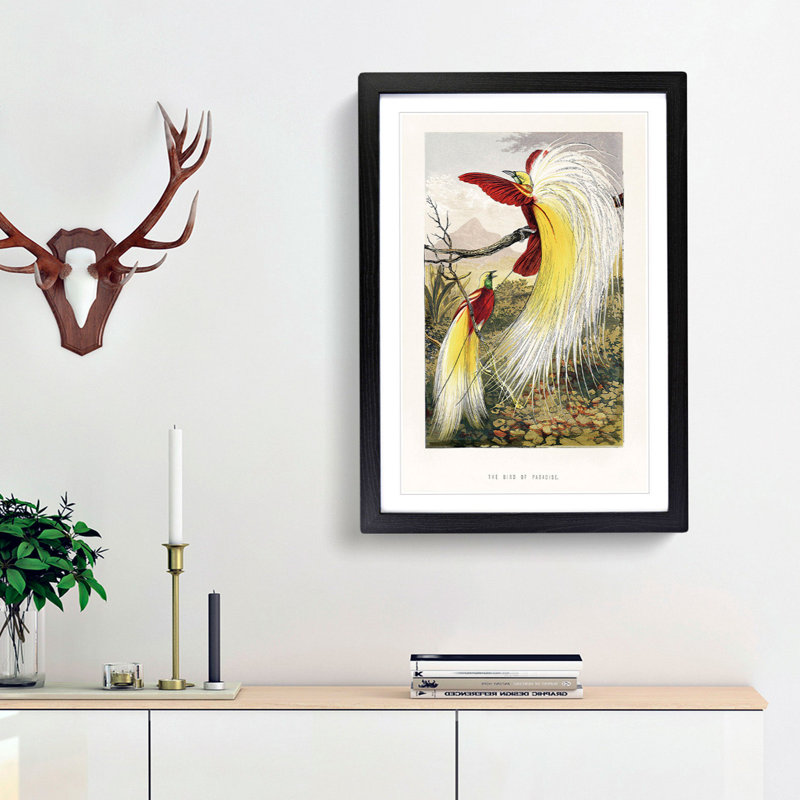 Two Birds of Paradise by Benjamin Fawcett - Picture Frame Painting Print, Black Framed, 48cm H x 36cm W x 2cm D