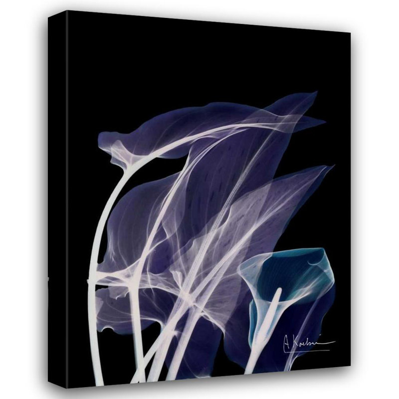 «Red Barrel Studio® Koetsier, Albert Gallery», art sur toile tendue: Lily Xray, H 47 po x l 36 po