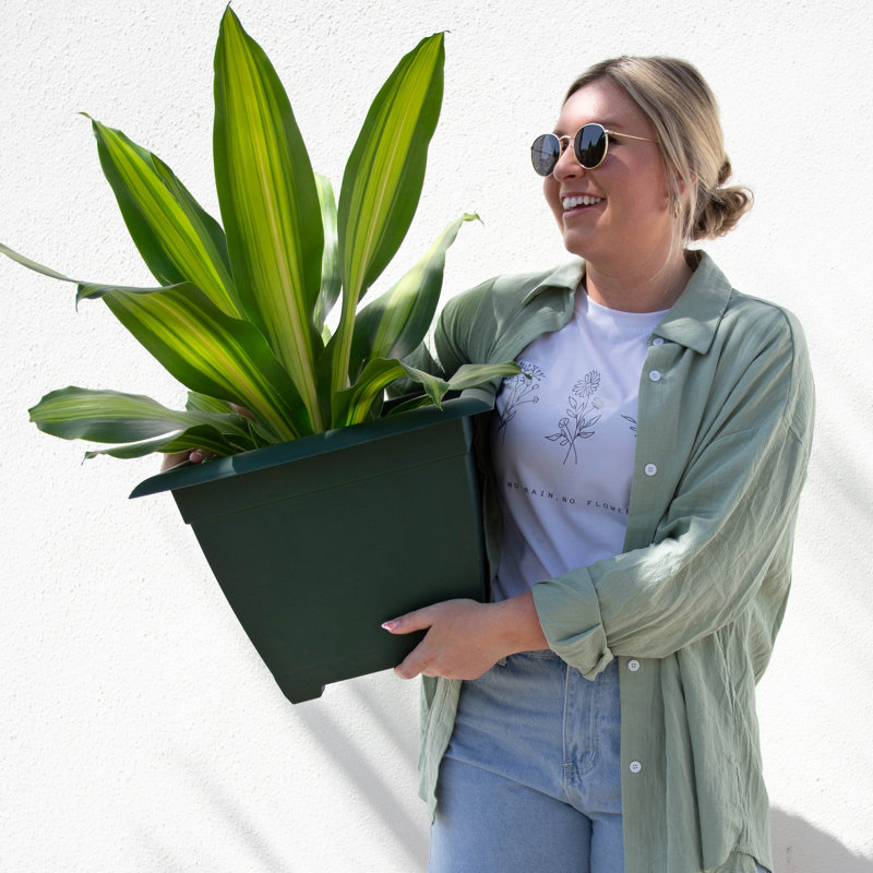 Eco-Friendly Turtle Green 15" Square Self-Watering Planter Box