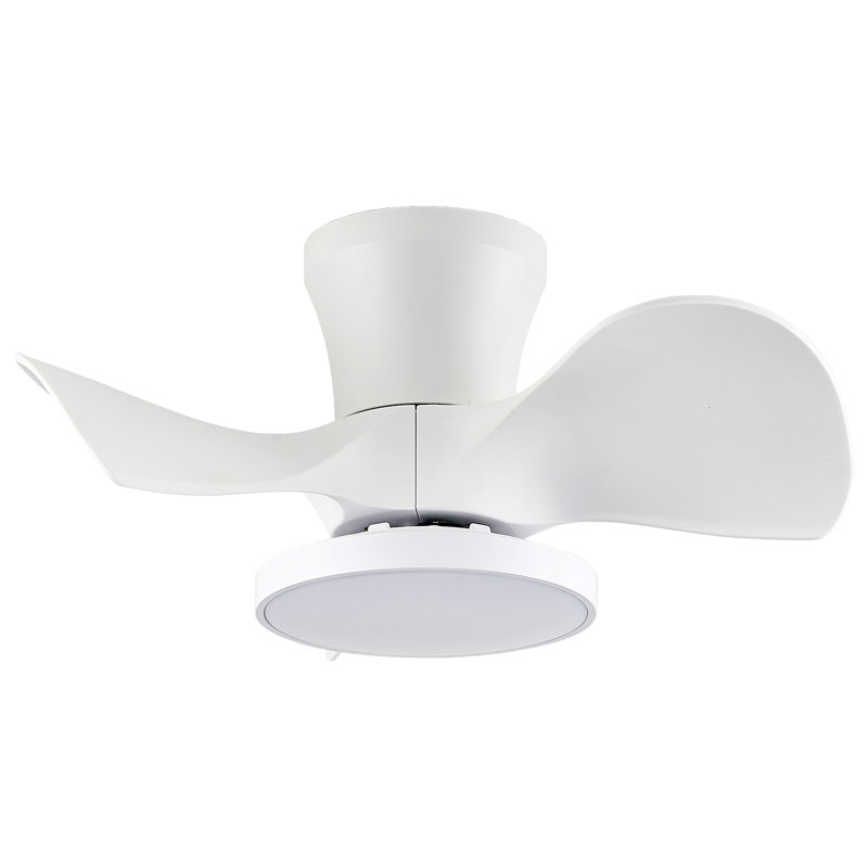 Ventilateur de plafond 22 po avec lumières DEL