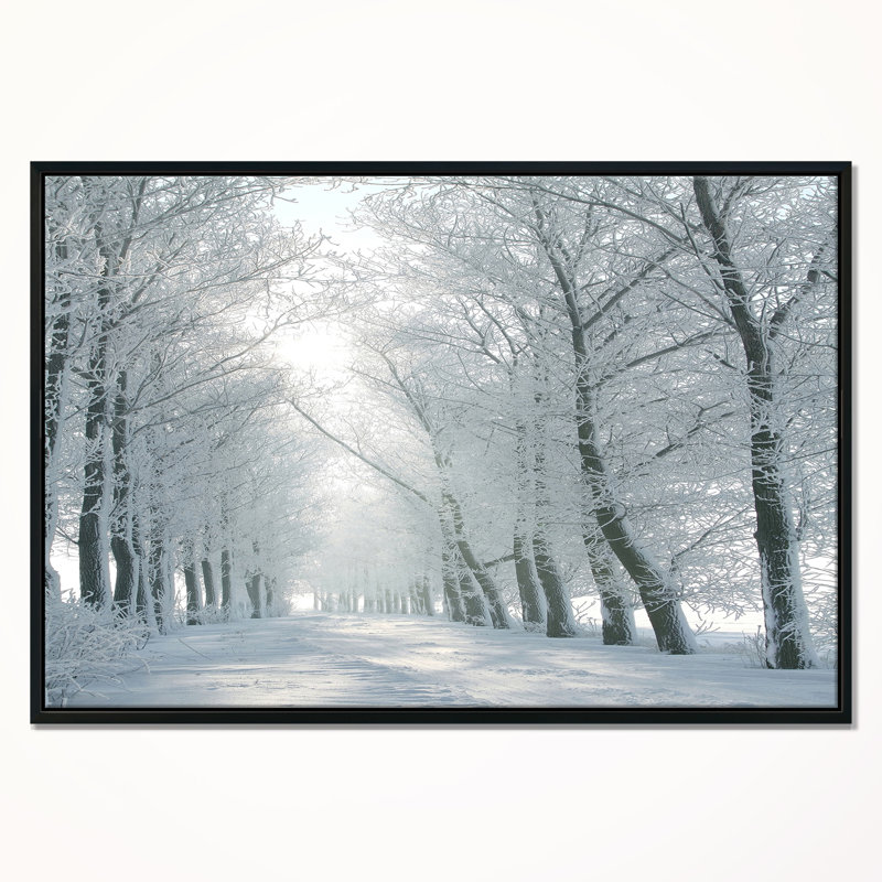 «Winter Road Backlit my Morning Sun», reproduction de photo, H 16 po x l 32 po x P 1 po, Cadre noir