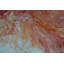 'Sweet Orange' - Wrapped Canvas Painting Print