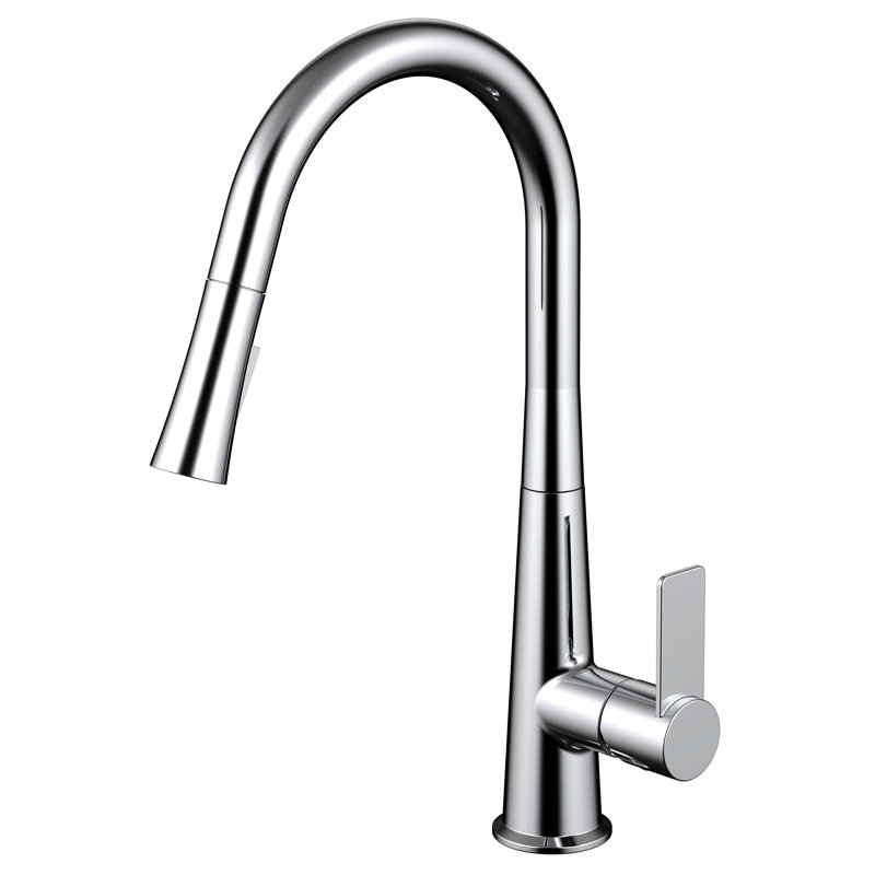 Daweier Pull Out Kitchen Faucet, Chrome