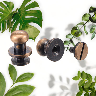 10-Piece Tone Brass Round Head Rivets 8mm
