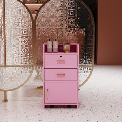 Pink Salon Storage Cabinet With 2 Drawers And 1 Structure & Beauty Furniture