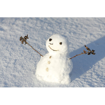 Snowman - Wrapped Canvas Print