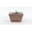 Abba 28"W Solid Mango Wood Modern Square Coffee Table with Low Profile Block Design-1228249806