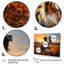 Border collie marchant sous Golden Horizon - impression-1246018156-1246018142