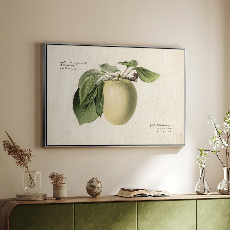 «Vintage Botanical - XLV» sur toile, H 27 po x l 41 po x P 2 po, Toile argentée avec cadre flottant