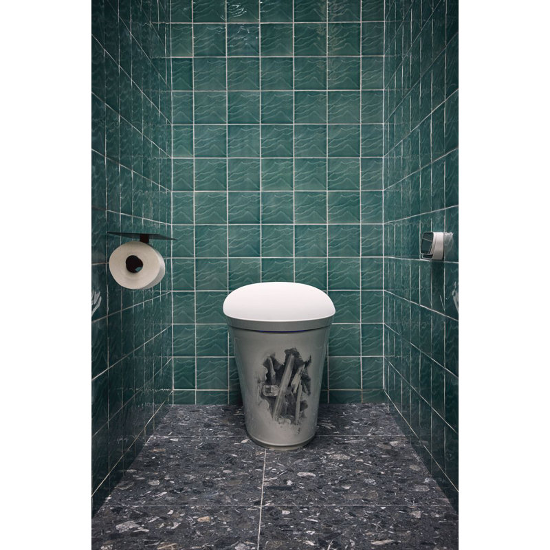 Landshapes By Daniel Arsham One-Piece Elongated Smart Toilet Dual-Flush