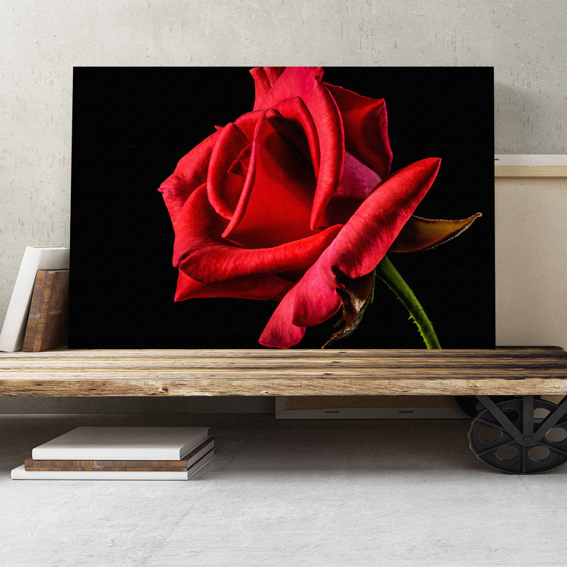 Flower Red Rose - Wrapped Canvas, 40cm H x 60cm W