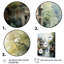 «Allemagne Canal Serenity I - Cityscapes», reproduction sur toile-91383908-91383909