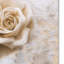 «Vintage Rose 4» par Jai Johnson, reproduction d'art graphique sur toile-31382976