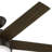 52" Anslee 5 - Blade Standard Ceiling Fan with Pull Chain and Light Kit Included-71202833