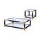 Beuna Contemporary 25" Square End Table with Glass Top and Shelf in White Brushed & Black