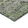 Machine Washable Indoor/Outdoor Cinead ACN1664 Aloe Rug