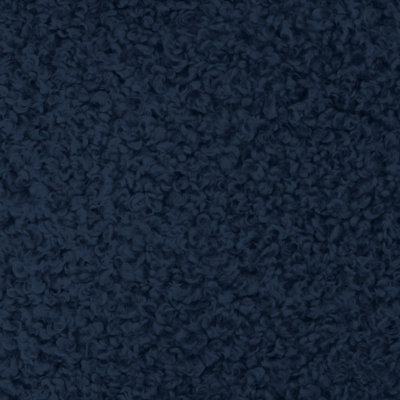 Sherpa Teddy | Kova Fabric