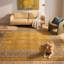 Tapis Sienna2 moderne minimaliste à bordure géométrique or, vert et gris, lavable à la machine, antidérapant, à poils courts, pour l'intérieur et l'extérieur, adapté aux animaux domestiques, idéal pour le salon, la chambre, la salle à manger, l'entrée, le corridor ou le bureau.-1135677402