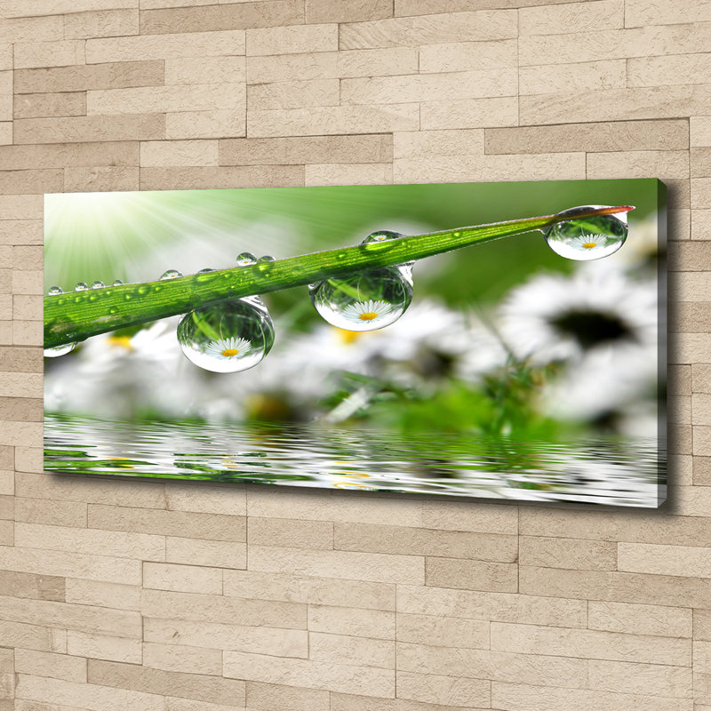 Drops On The Grass - No Frame Print on Canvas