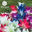 Outdoor Solar Lights With Bigger Lily Flowers Waterproof Colour Changing-97872668