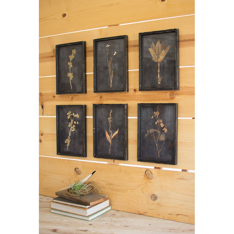  Ensemble de 6 décorations botaniques sous verre H 14 po - Cadre en bois noir patiné