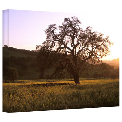 " Golden Hour " by Kathy Yates