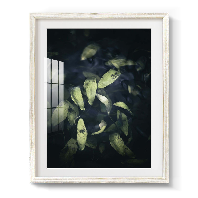 Dramatic Foliage II -Framed Print