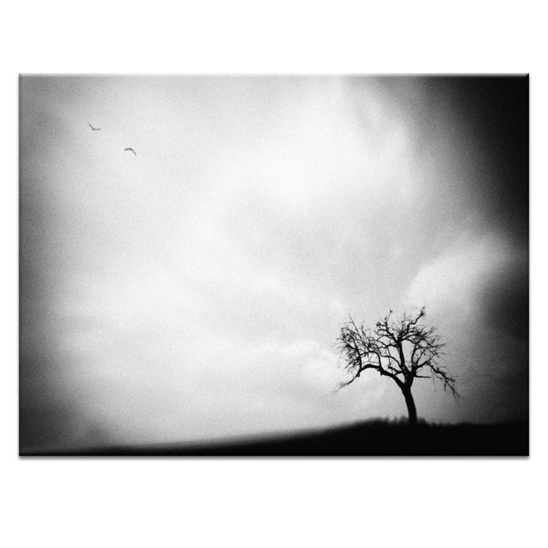Print on Canvas, 41cm H x 51cm W, Wrapped Canvas