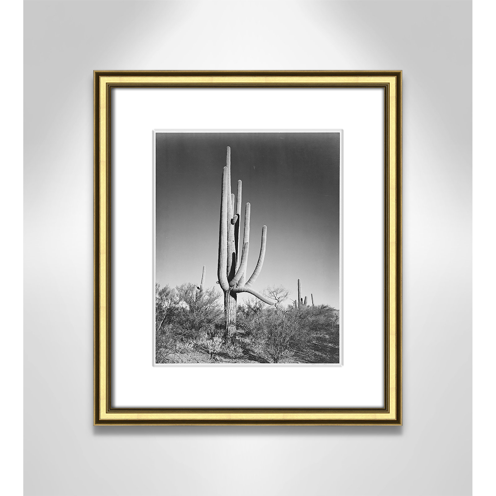 Saguaro National Monument Print by Ansel Adams, Gold , 16.25" H x 14.25" W x 0.88" D