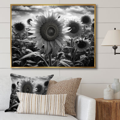 Tournesol noir et blanc I