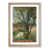 Oak Framed