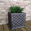 Samuel Alexander Pot Planter