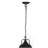 D10.4x11.4" pendant light, metal
