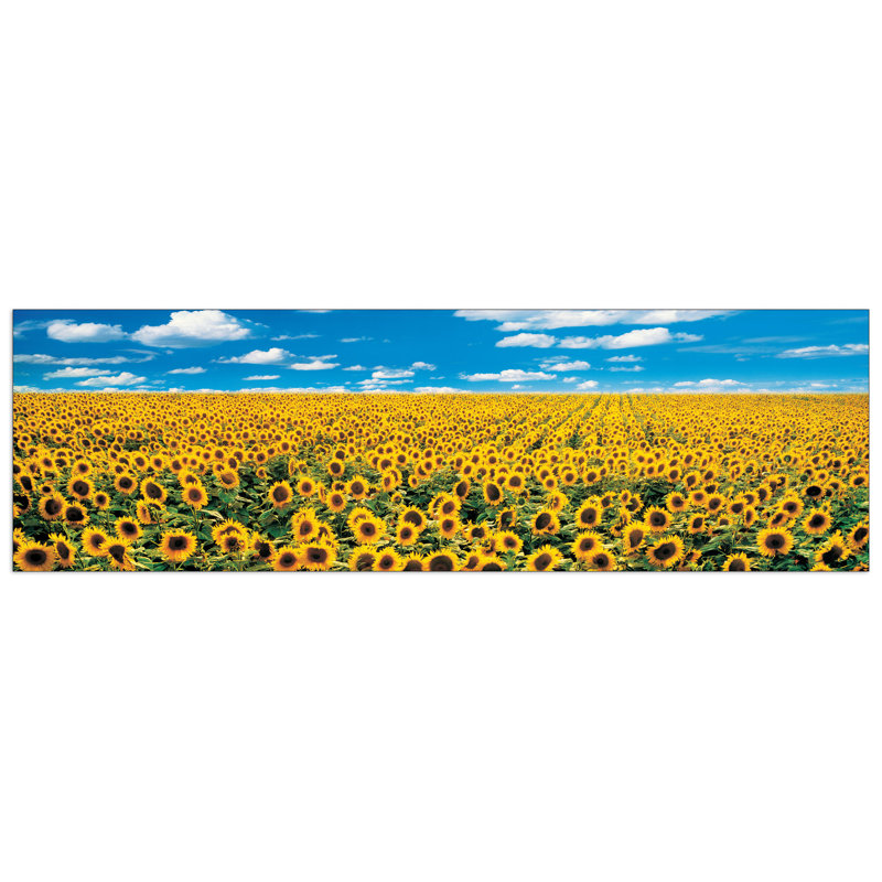 Panoramic Print on Wood