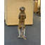 Statue grandeur nature suricate