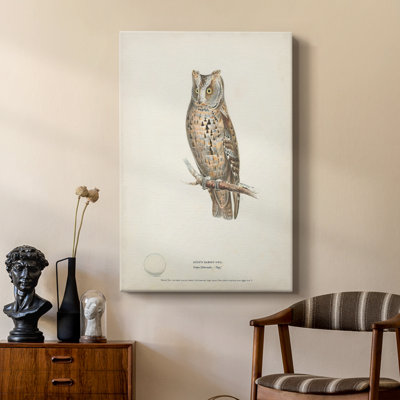 Scops Eared Owl -Custom Wrapped Gallery Cavas