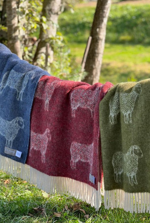 The Sheep Collection